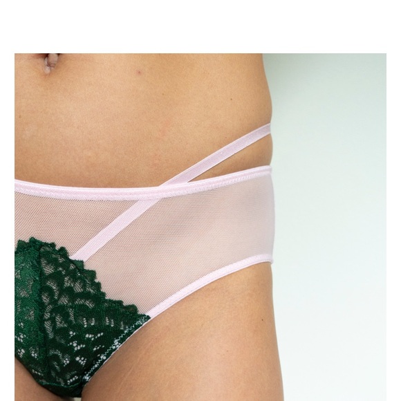 NWT Underclub Bikini Sheer Toast Panties - Picture 2 of 6